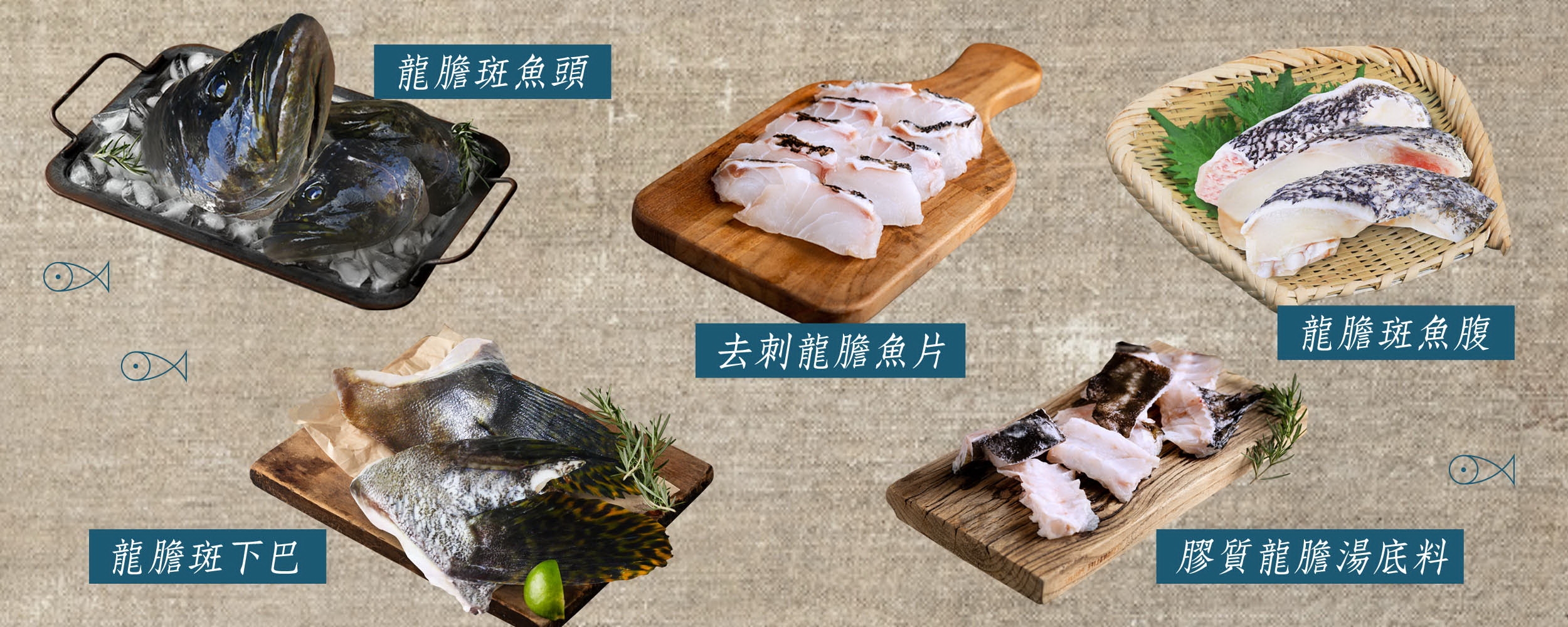 團主最愛
