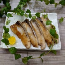 優惠專案:鹽溶紅魽魚肉10盒